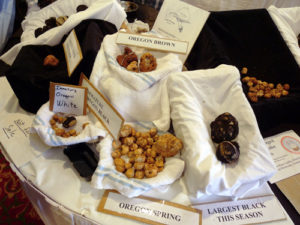 2011-Autumn-Oregon-Food-Willamette-Valley-Eugene-Truffle-Festival-truffle-display