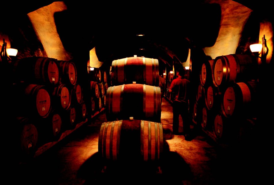 2010-Autumn-Oregon-Travel-Wine-Willamette-Valley-Trisaetum-cellar-French-oak-barrels