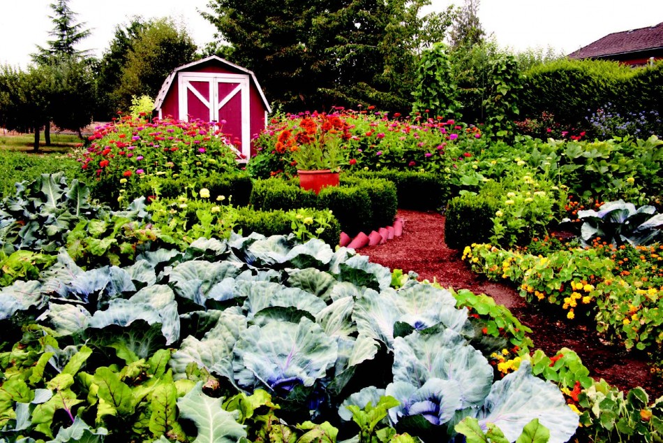 2010-Spring-Oregon-Home-Backyard-Willamette-Valley-Junction-City-Chauncey-Freeman-garden-flowers-vegetables