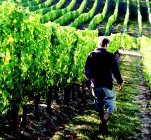 2010-Spring-Oregon-Wine-Travel-Gaston-Big-Table-Farm-vineyard