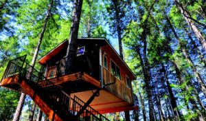 2010-Summer-Southern-Oregon-Home-Exterior-Design-Takilma-tree-house