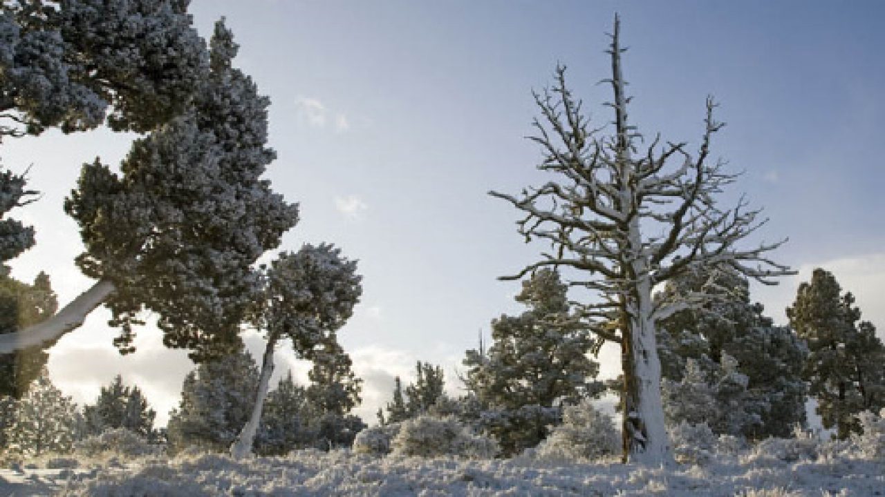 2010-Winter-Central-Oregon-Travel-Outdoors-Badlands-hike-winter-snow