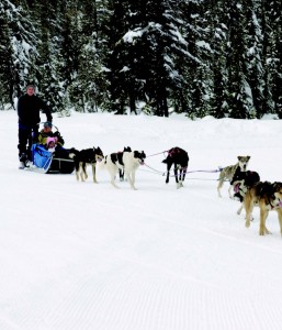 2010-Winter-Central-Oregon-Travel-Outdoors-Mt-Bachelor-dog-sledding-winter-snow