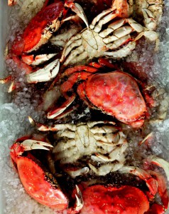 2010-Winter-Oregon-Coast-Bounty-crabs-in-ice