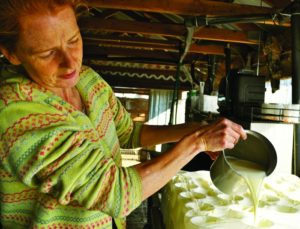 2011-Autumn-Oregon-Travel-Bounty-Willamette-Valley-Yamhill-Kookoolan-Farms-Chrissie-Zaerpoor-making-cheese-culinary-experience