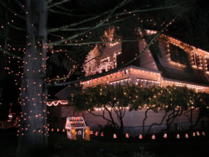2011-Autumn-Oregon-Travel-Christmas-Holiday-Portland-Peacock-Lane-Lights