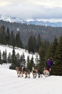 2012-january-eastern-oregon-eagle-cap-sled-dog-race-winter-outdoors-sports