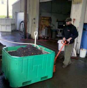wine-crush-2011-Oregon-McMinnville-Vista-Hills-Panther-Creek-vineyards