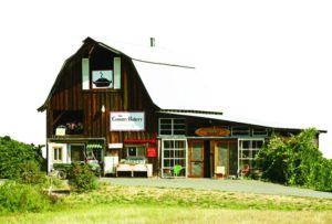 2012-july-august-1859-southern-oregon-farm-to-table-blackberries-grants-pass-pennington-farms-country-bakery