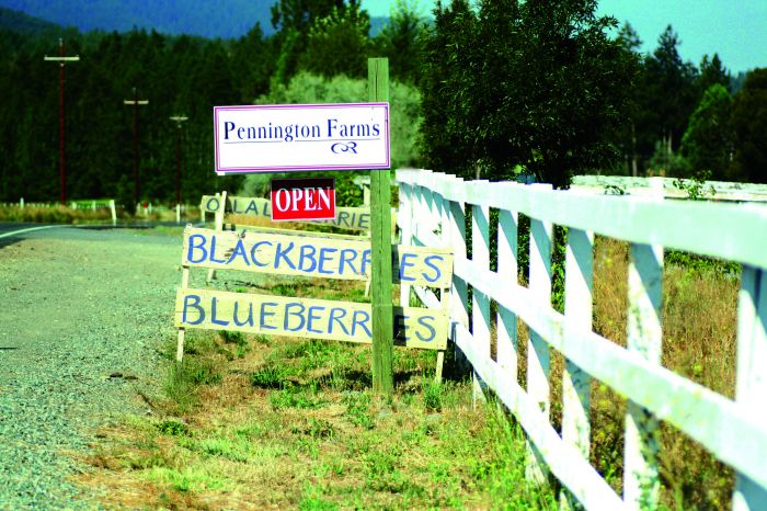 2012-july-august-1859-southern-oregon-farm-to-table-blackberries-grants-pass-pennington-farms-sign