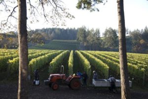 2012-september-october-1859-magazine-willamette-valley-oregon-wine-crush-tractor-grapes-rows