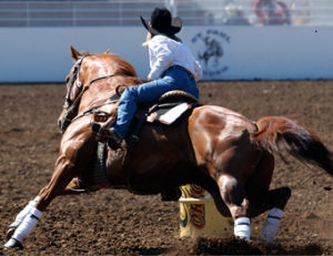 things-to-do-willamette-valley-st-paul-rodeo-oregon