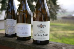 wine-blog-willamette-valley-oregon-pinot-noir-de-blanc