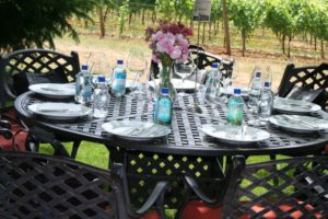 wine-tasting-tours-willamette-valley-oregon-france-food-dining-grapes-4