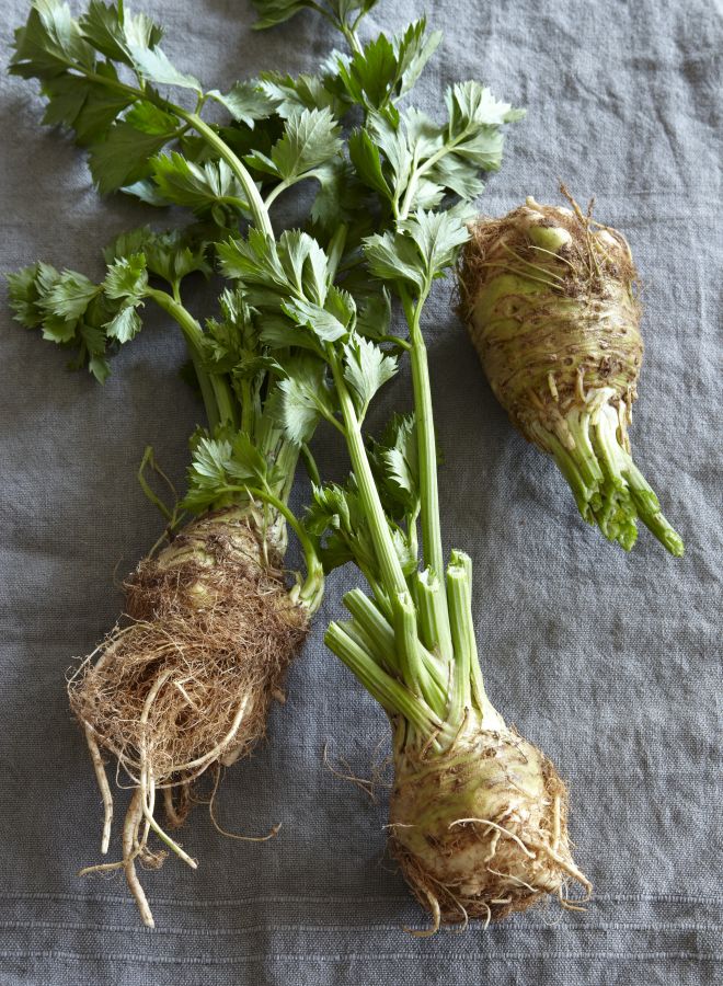 1859-root-vegetable-pear-recipe-celery-root-roots-cookbook
