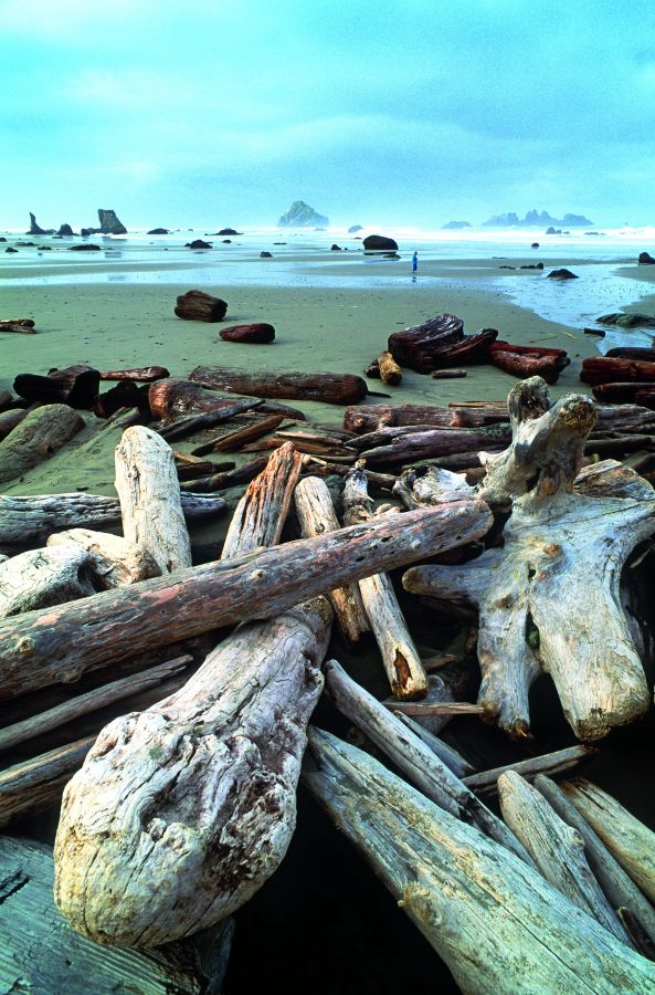 2010-Summer-1859-Oregon-Coast-history-bandon-oswalt-west-oregon-coast-driftwood