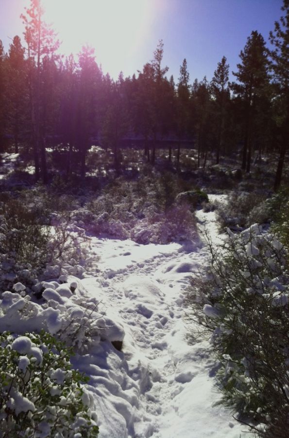 2012-december-1859-central-oregon-bend-outdoor-blog-Deschutes-River-Trail-December