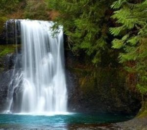 1859-oregons-birthday-photo-contest-willamette-valley-oregon-waterfall-upper-north-falls-silver-creek-state-park-patrick-welch