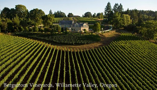 2007-Oregon-Willamette-Valley-Bergstrom-Vineyards-aerial-view-by-Andrea-Johnson