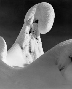 2012-november-december-1859-magazine-oregon-winter-ray-atkeson-gallery-snow-art-tree