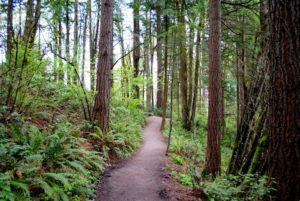 Forest_Park_Trail