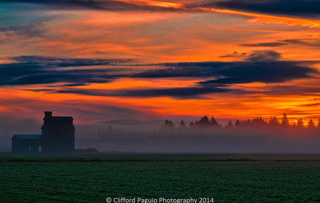 Photo-of-the-Week_Clifford-Paguio_November-30_McMinnville-Oregon_630x400