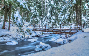 1859_Photo-of-the-Week_Jan-11_Cold-Springs-Creek-Oregon_Mike-Edwards_630x400