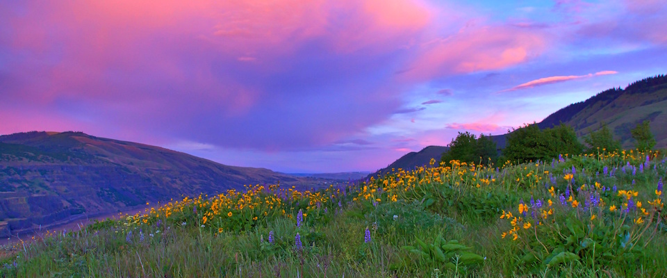 Photo-of-the-Week_Steve-Luther_960x400 - 1859 Oregon's Magazine