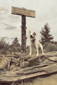 oregon_hikes_Good_Dog_Trail_Katherine_Hall