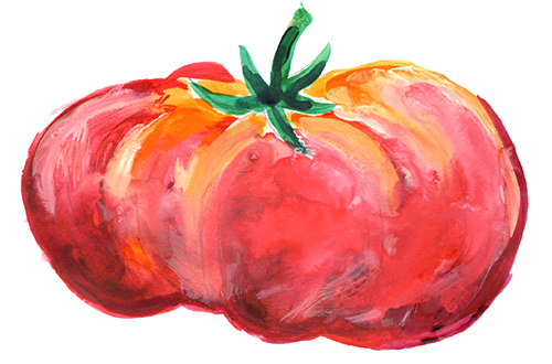 Oregon heirloom tomato