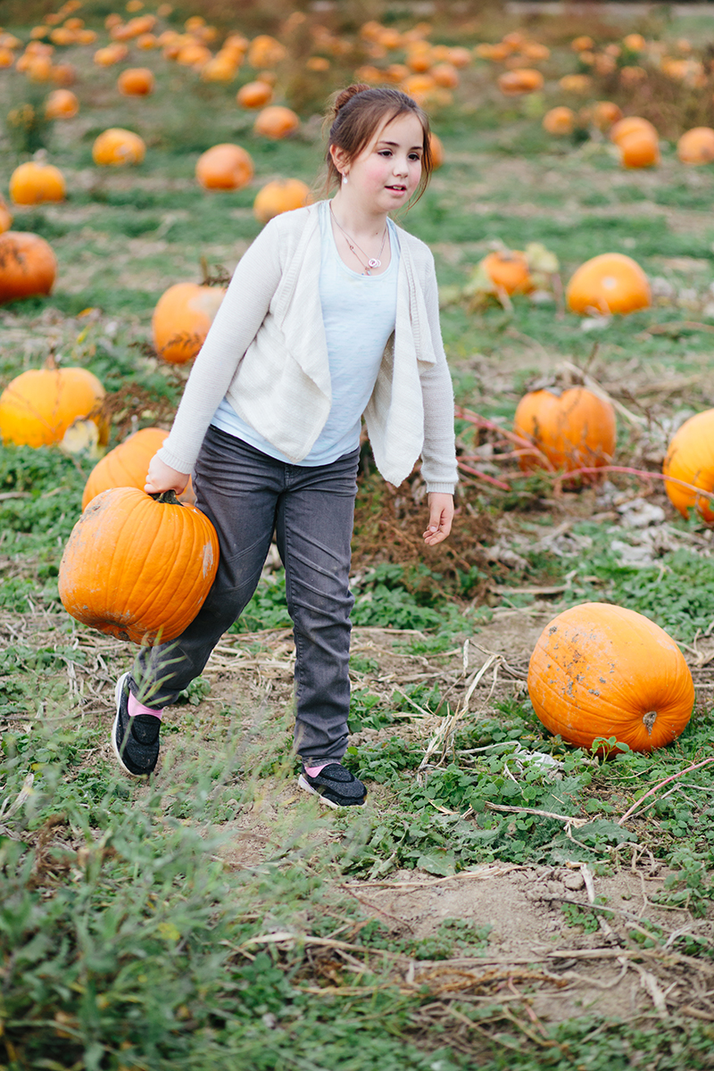 The Pumpkin Patch, Sauvie's Island, 2015. Photograph by Cameron Zegers.