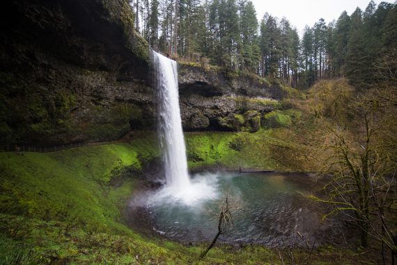 South Falls, silver falls state park