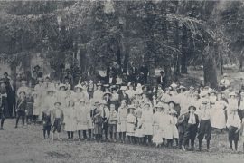 linn county pioneer picnic
