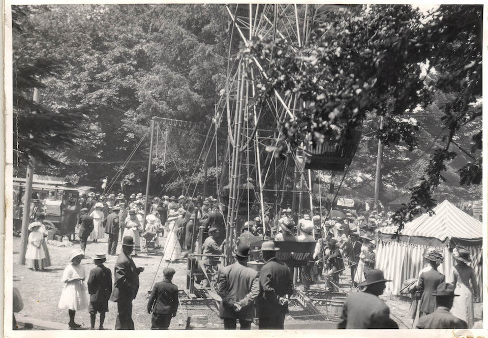 linn county pioneer picnic