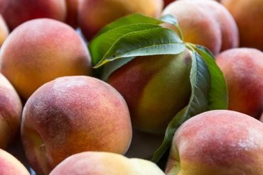 August 2016, summer peaches from Jossy Farm, Portland, OR.