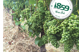 Crowley Wines uses grapes that are certified organic.