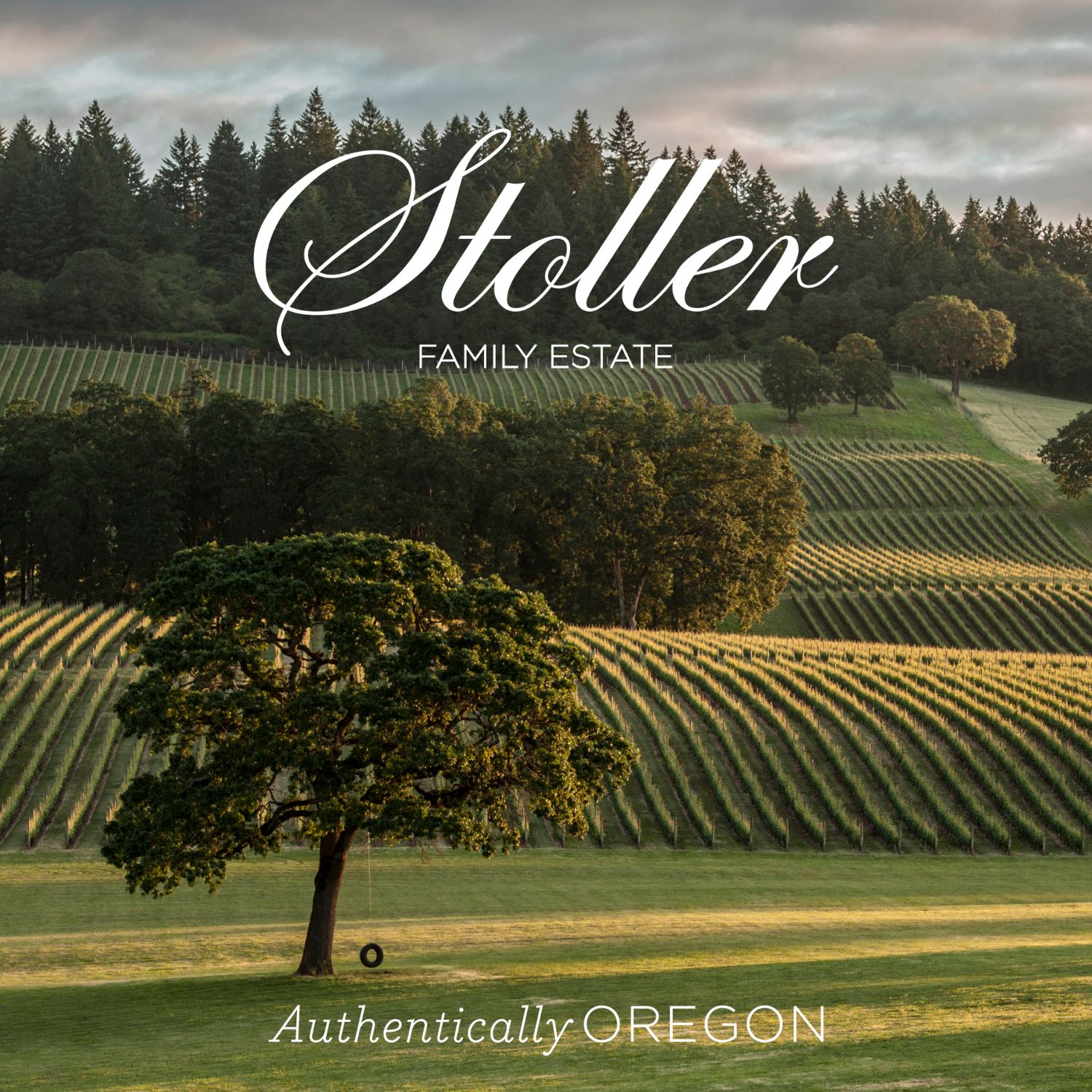 Stoller Family Estate