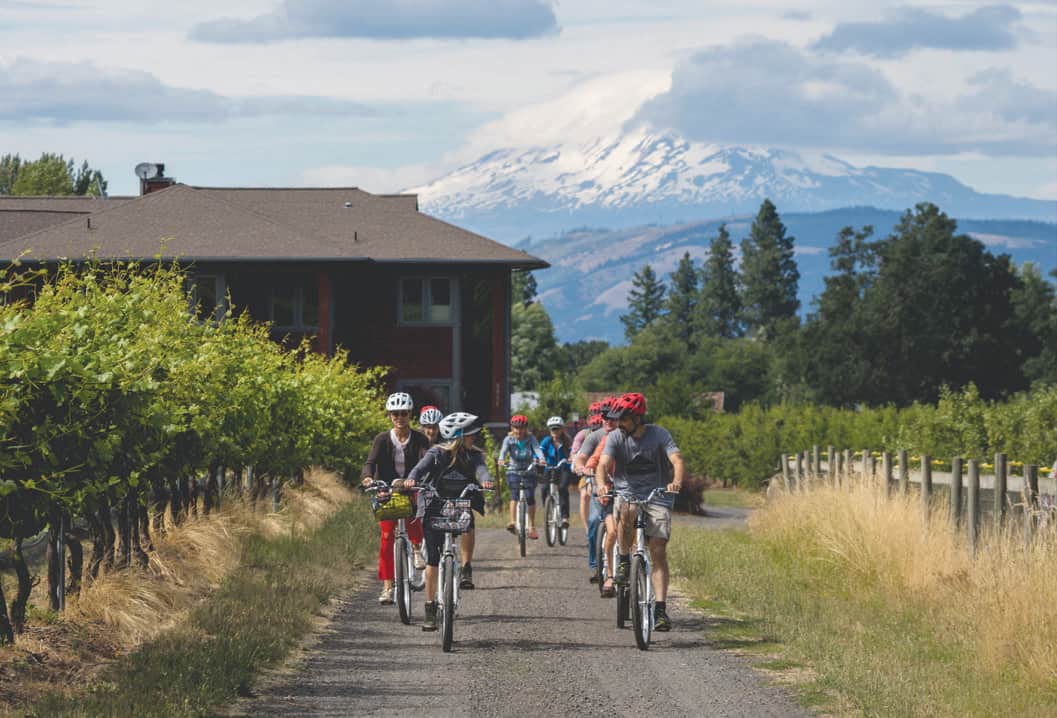 Cyclists get an insider’s taste of the fruit of the valley on a MountNbarreL tour.