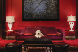 For urban chic adventures with your pooch, stay at Royal Sonesta, near the Pearl District and Portland strolling bliss.