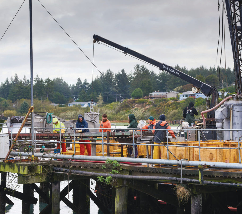 Fishermen and deckhands unload the Ms. Julie after three days of fishing off the Oregon Coast.