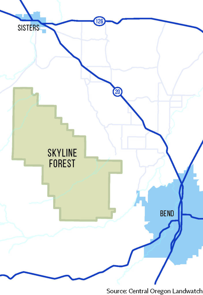 Skyline Forest map