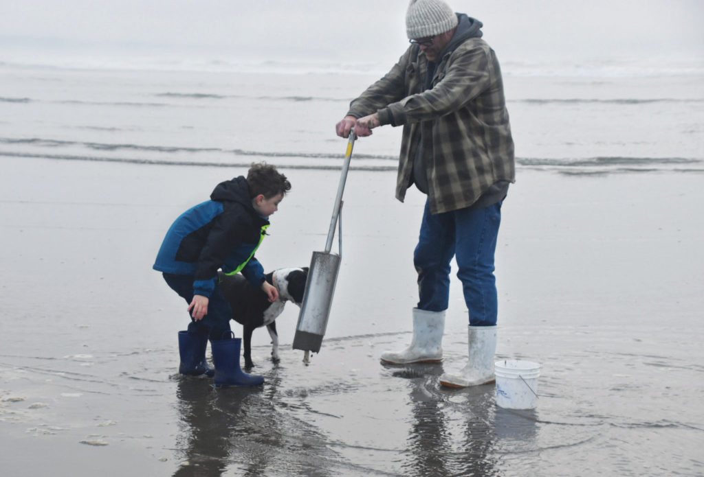 Chef Aaron Bedard searches for razor clams with his son on the Oregon Coast.