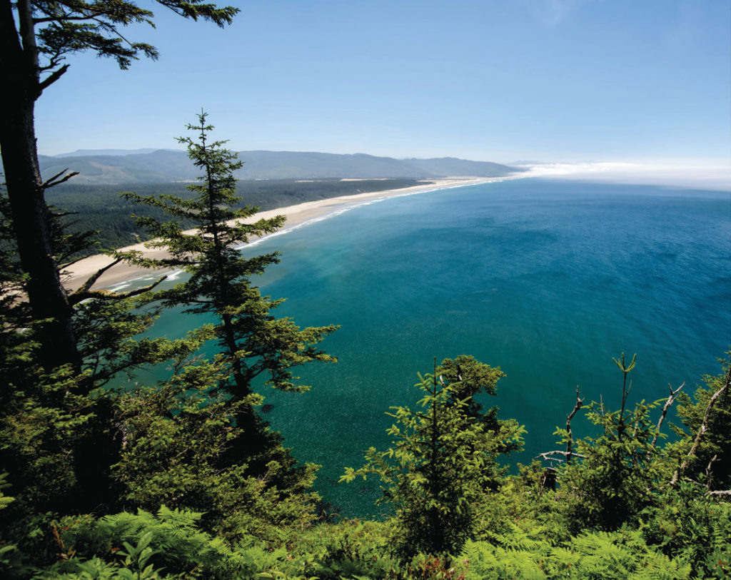 Cape Lookout, near Netarts on the coast, is a prime spot for whale watching in spring.