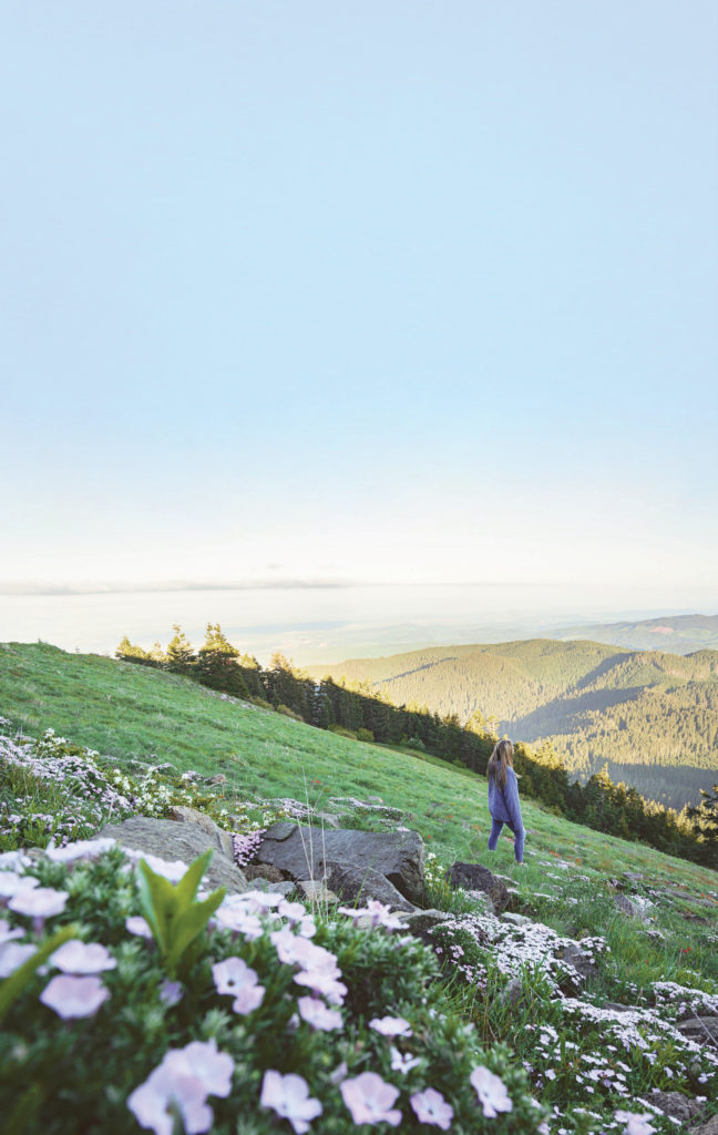 Marys Peak involves elevation gain and glacier lilies among other wildflowers.