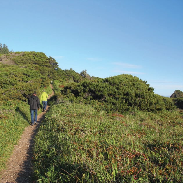 Port Orford State Park offers and easy out and back for families seeking an accessible path to wildflowers.