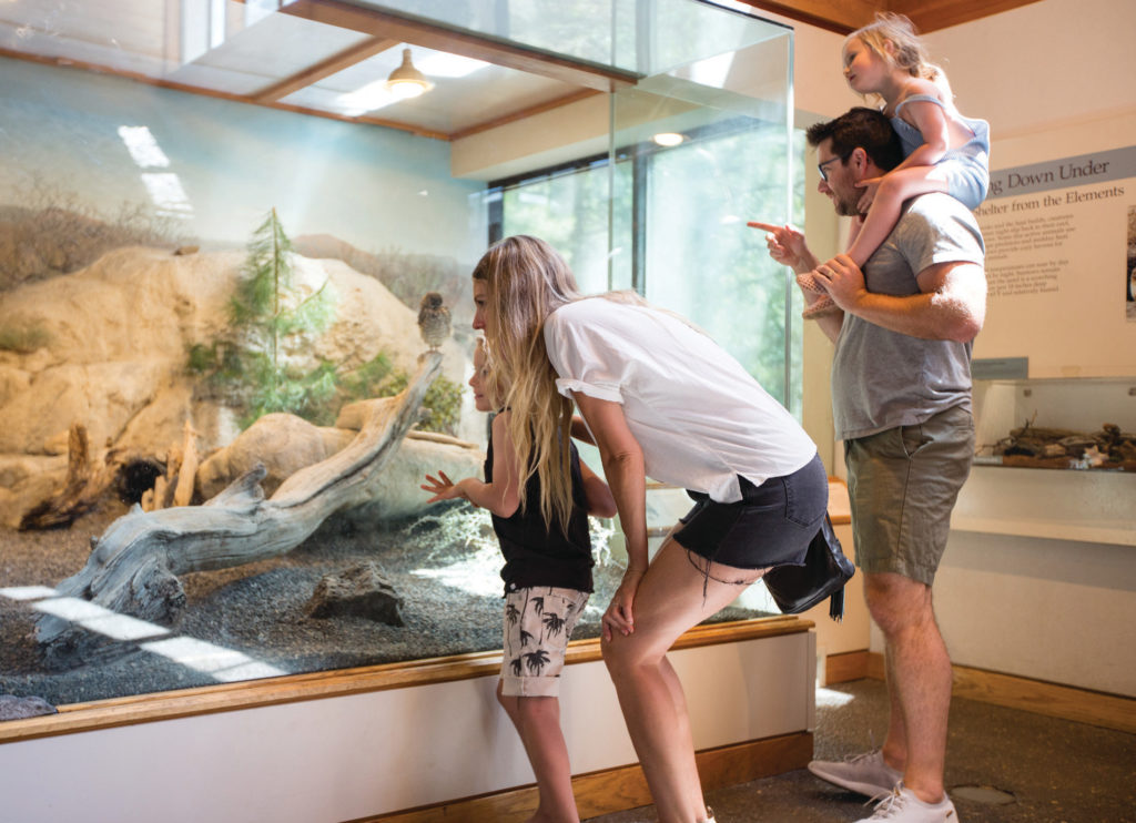 When entertainment, history and education are important to families celebrating Mother’s Day, put High Desert Museum on your agenda.