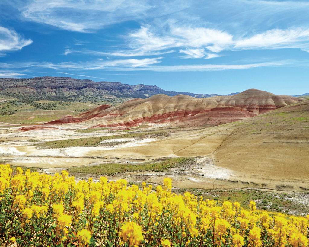 Put Painted Hills first on your spring bucket list before summer temps roll in.