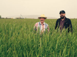 Brad and Seth Klann, of Mecca Grade Estate Malt, stand in their rye field with their malthouse in the background.