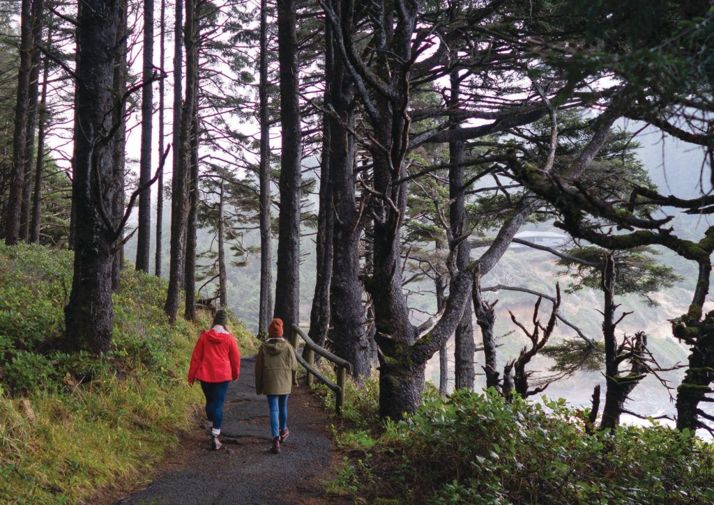 Hike the trail along Cape Perpetua to take in the enormous views.