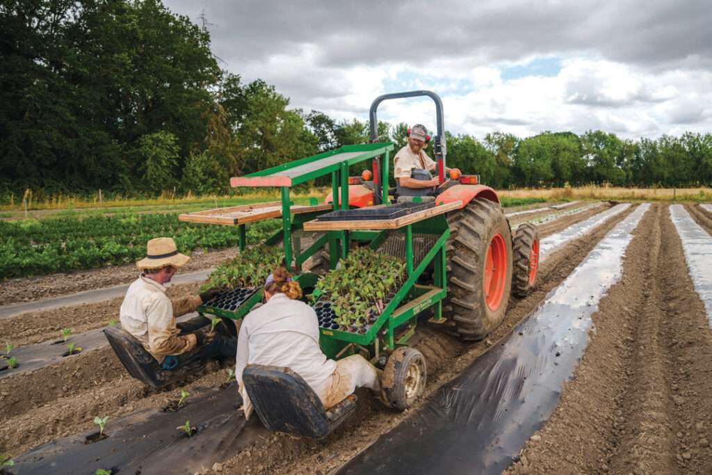 A tractor paired with this special attachment comes in handy for transplanting seedlings into the field.